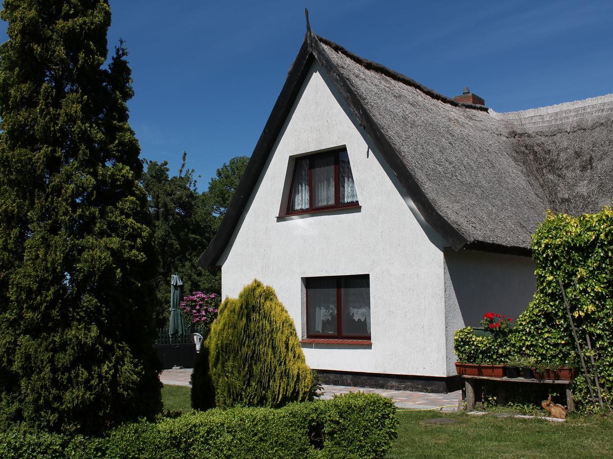 In Near The * Pepelow